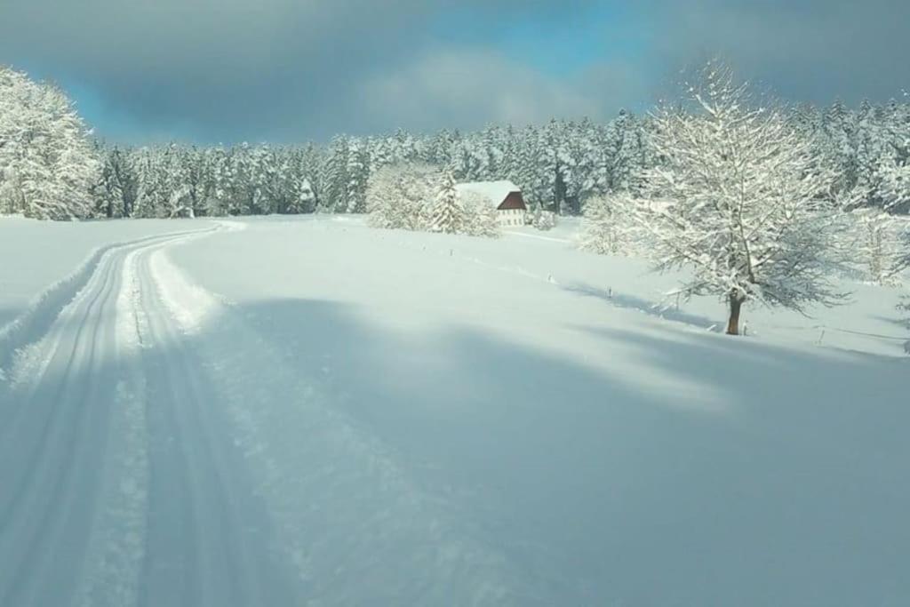 Ferienwohnung Im Schwarzwald Unterkirnach Экстерьер фото
